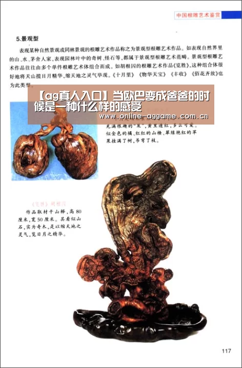 【ag真人入口】当欧巴变成爸爸的时候是一种什么样的感受(图3) AG真人娱乐