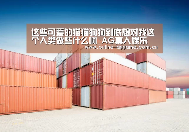 这些可爱的猫猫狗狗到底想对我这个人类做些什么啊_AG真人娱乐(图2) ag真人官网