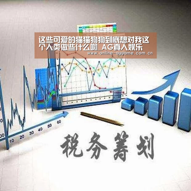 这些可爱的猫猫狗狗到底想对我这个人类做些什么啊_AG真人娱乐(图1) AG真人娱乐